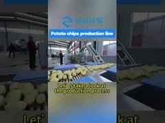 Fully Automatic Frying Machine Streamline Fries Production Line